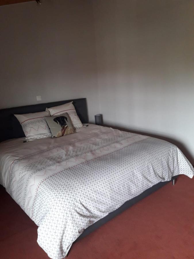 Bed and Breakfast La Ferme Du Puits Carre Lamasquere Екстер'єр фото